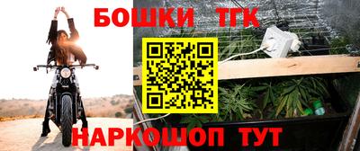 индика Краснознаменск