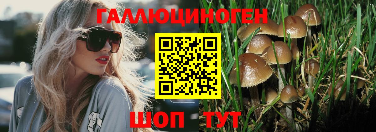 Галлюциногенные грибы прущие грибы Маркс