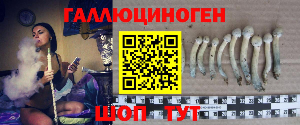 Галлюциногенные грибы прущие грибы  что такое наркотик  Маркс  Вход с VPN 